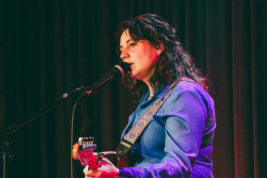 Artiest achter de microfoon met gitaar