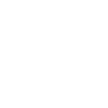 echosessies
